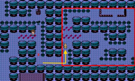 how to catch farfetch'd in pokemon heartgold|Pokemon Heart Gold Soul Silver Farfetch'd Puzzle .